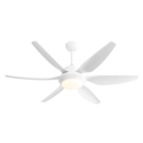 Ceiling Fans